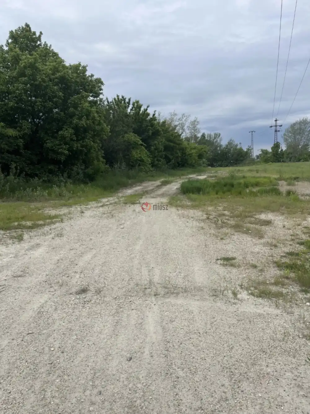 Budapest, XVIII. kerület - Halmierdő