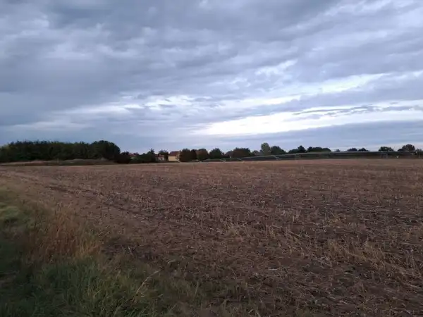 Eladó Ipari telek, Iváncsa 15000 m² 226.1 M Ft + Áfa