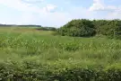 Borsod-Abaúj-Zemplén megye - Sajószentpéter
