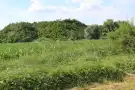 Borsod-Abaúj-Zemplén megye - Sajószentpéter