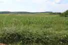 Borsod-Abaúj-Zemplén megye - Sajószentpéter