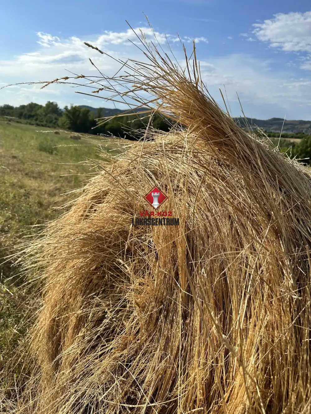 Pest megye - Törökbálint