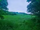 Fejér megye - Mány