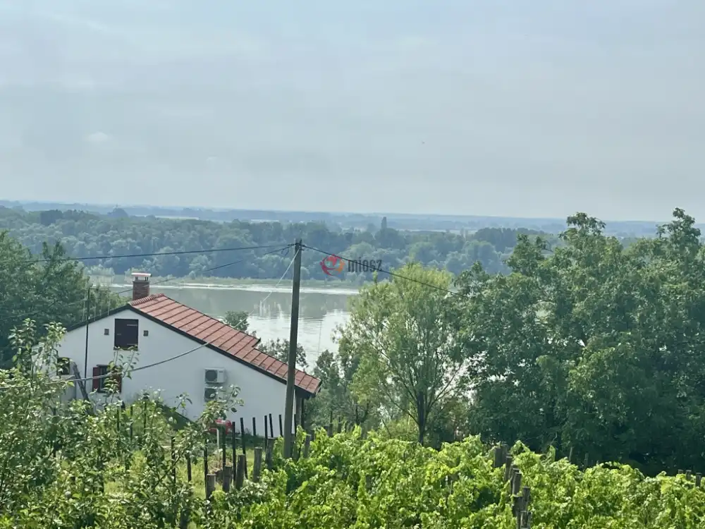 Baranya megye - Bár