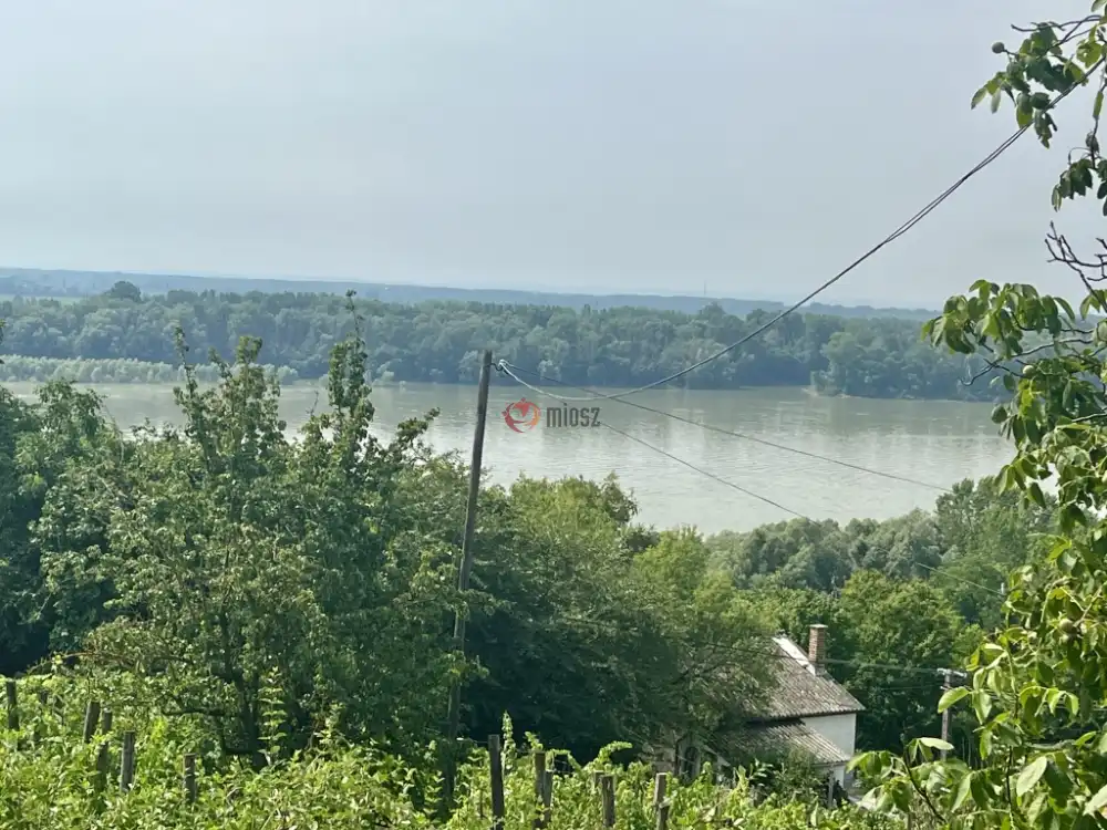 Baranya megye - Bár