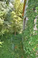 Borsod-Abaúj-Zemplén megye - Miskolc
