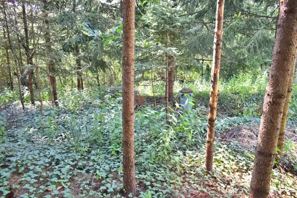 Borsod-Abaúj-Zemplén megye - Miskolc