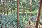 Borsod-Abaúj-Zemplén megye - Miskolc