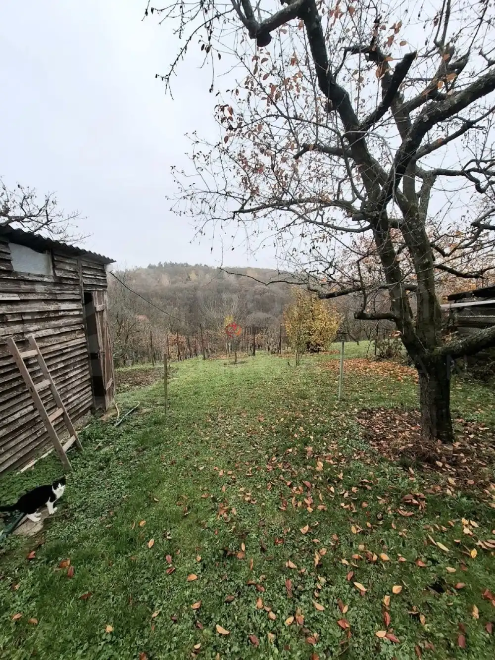 Borsod-Abaúj-Zemplén megye - Miskolc