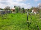Komárom-Esztergom megye - Tata
