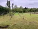 Komárom-Esztergom megye - Tata