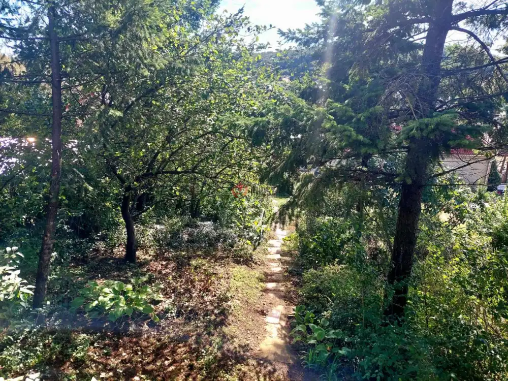 Komárom-Esztergom megye - Tatabánya