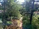 Komárom-Esztergom megye - Tatabánya