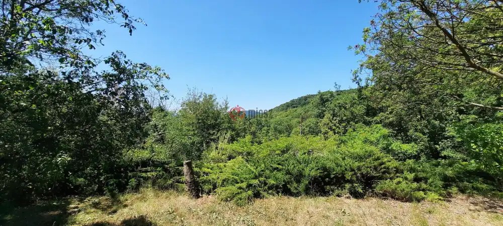 Pest megye - Verőce