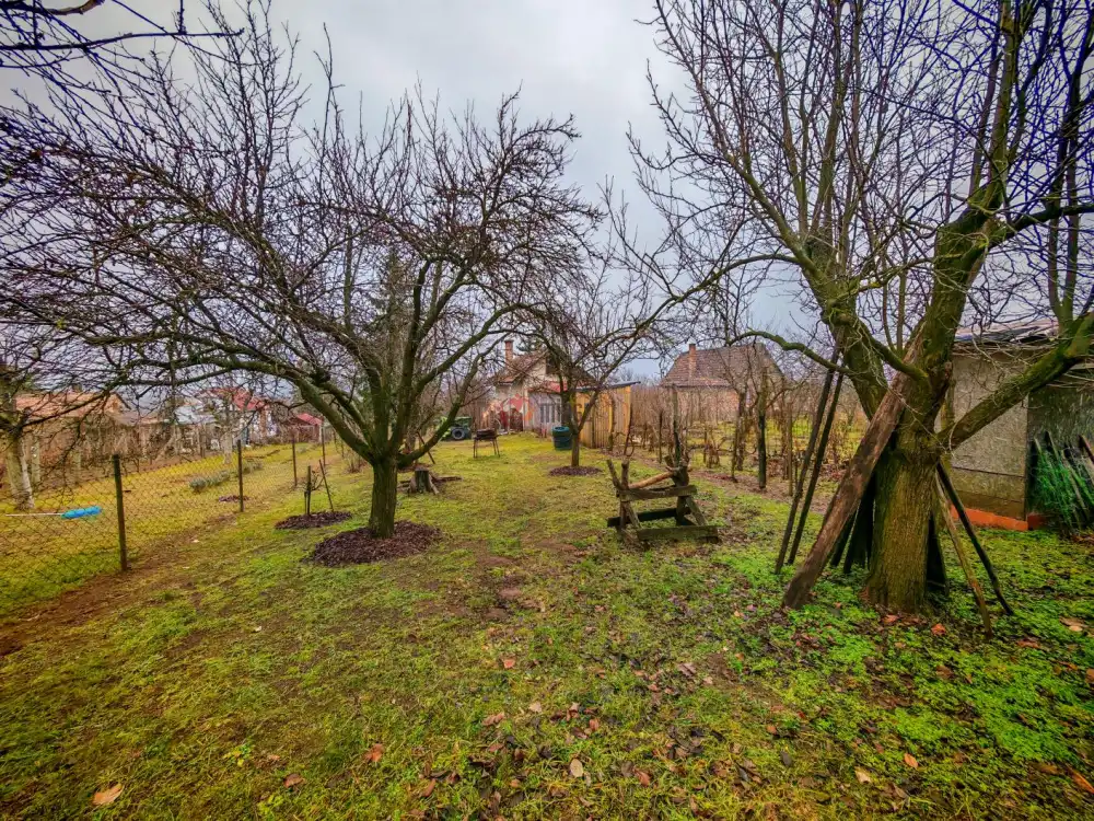 Komárom-Esztergom megye - Vértesszőlős