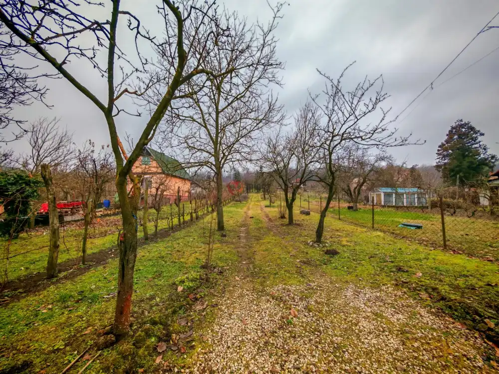 Komárom-Esztergom megye - Vértesszőlős