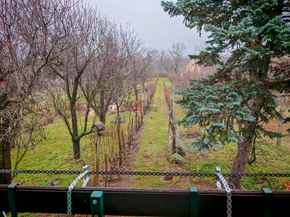 Komárom-Esztergom megye - Vértesszőlős