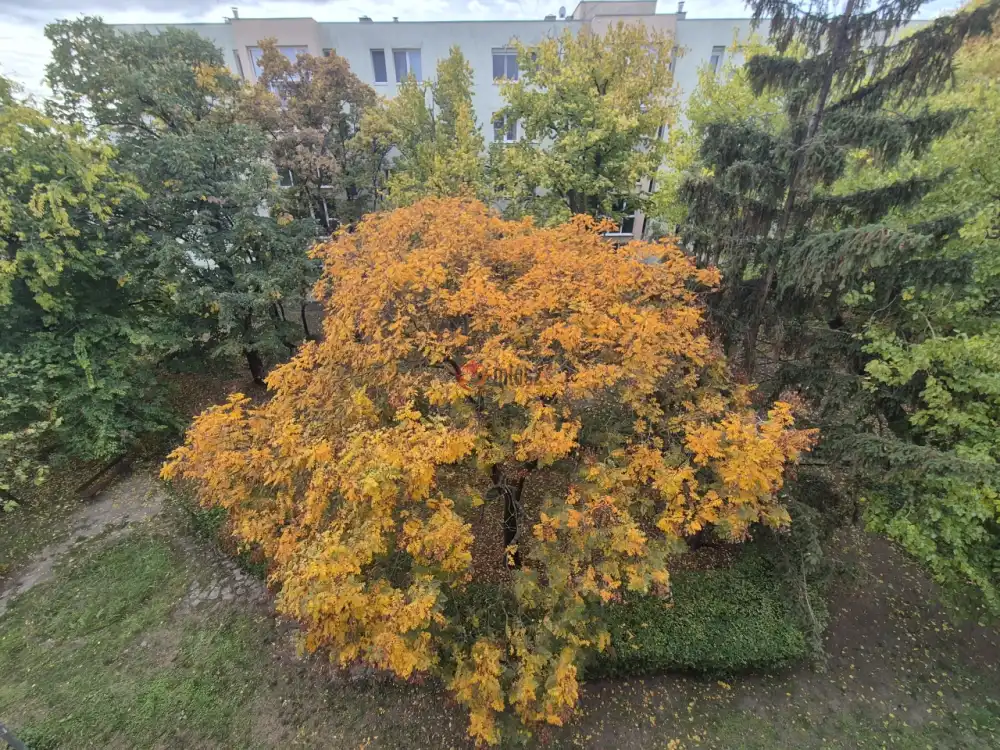 Budapest, X. kerület - Kőbánya-Városközpont