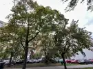 Budapest, XIV. kerület - Zugló