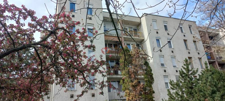 eladó panellakás, Budapest, XVI. kerület