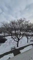 Pest megye - Százhalombatta