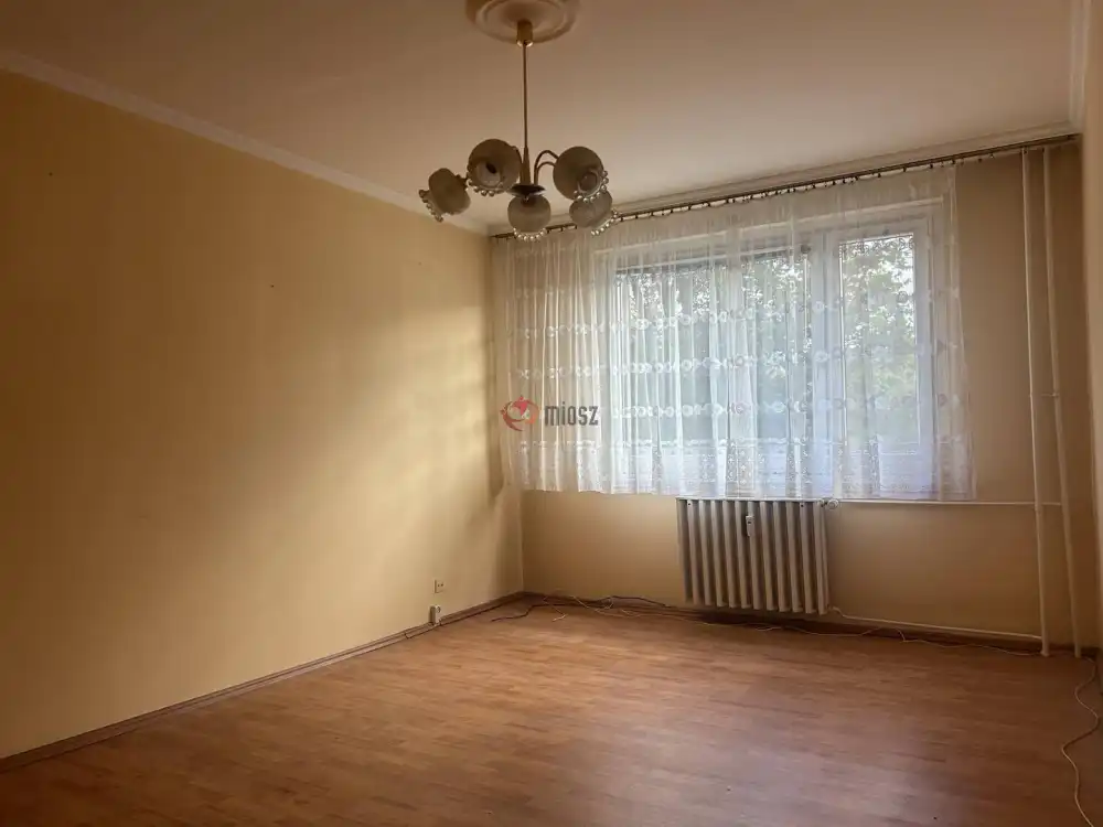 Csongrád megye - Szeged