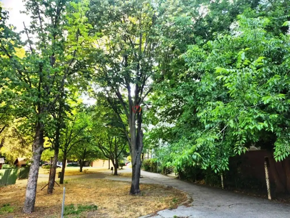 Pest megye - Szigetszentmiklós