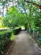 Pest megye - Szigetszentmiklós