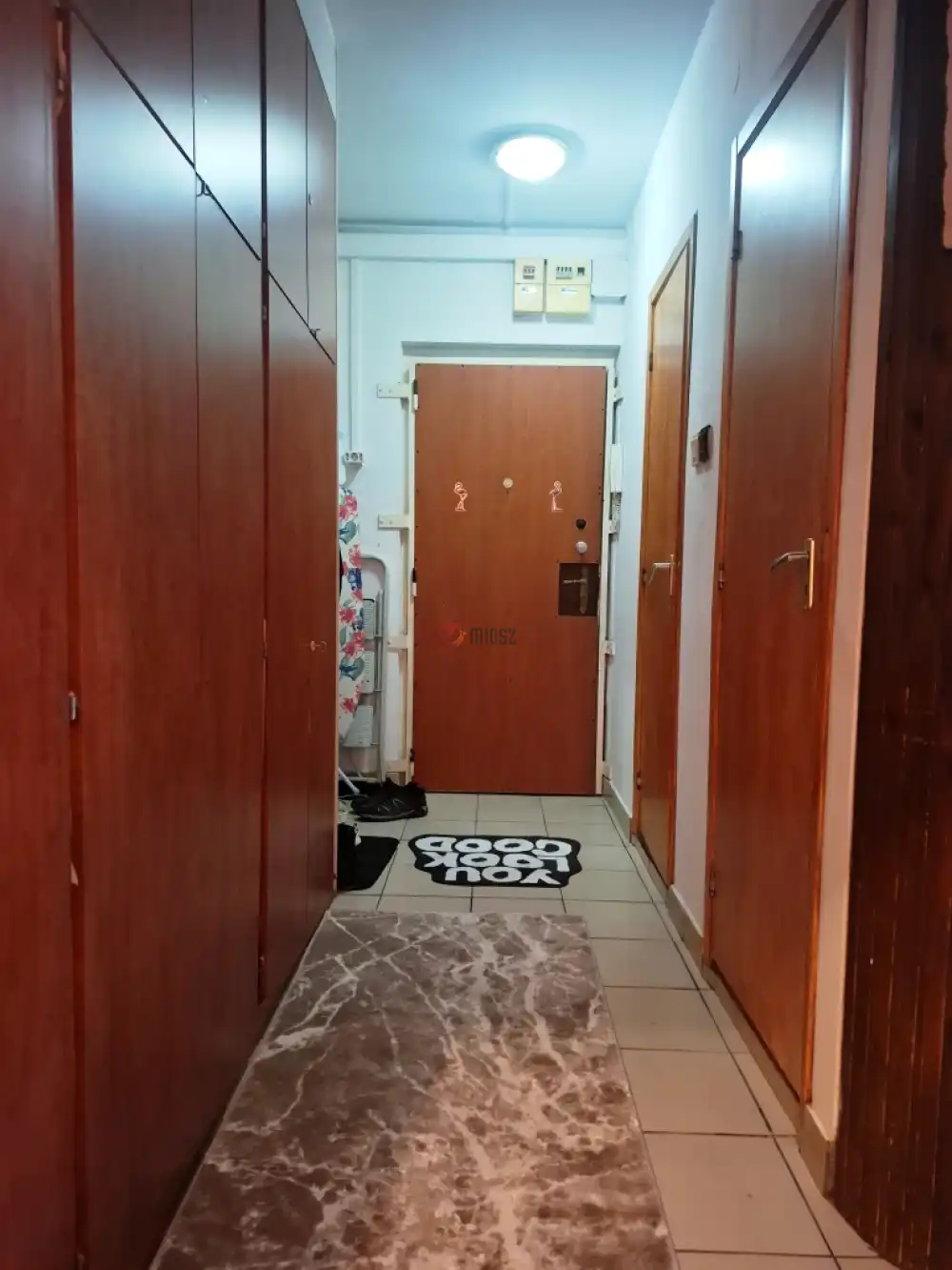 Pest megye - Szigetszentmiklós