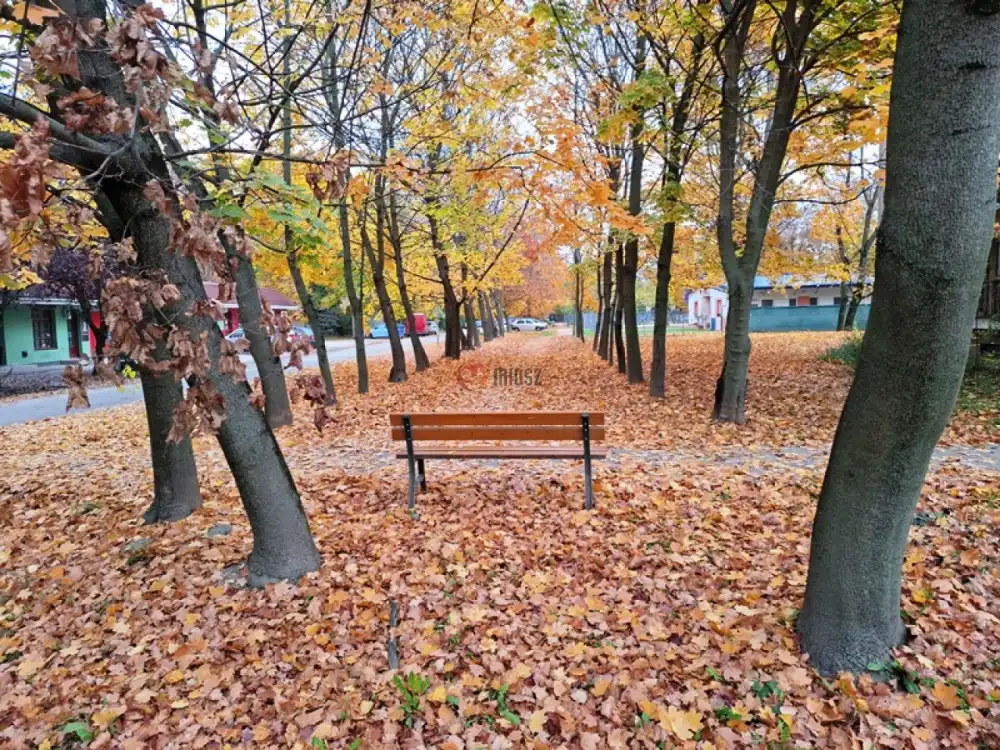 Pest megye - Tököl