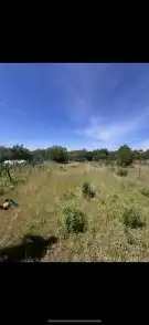 Pest megye - Ecser