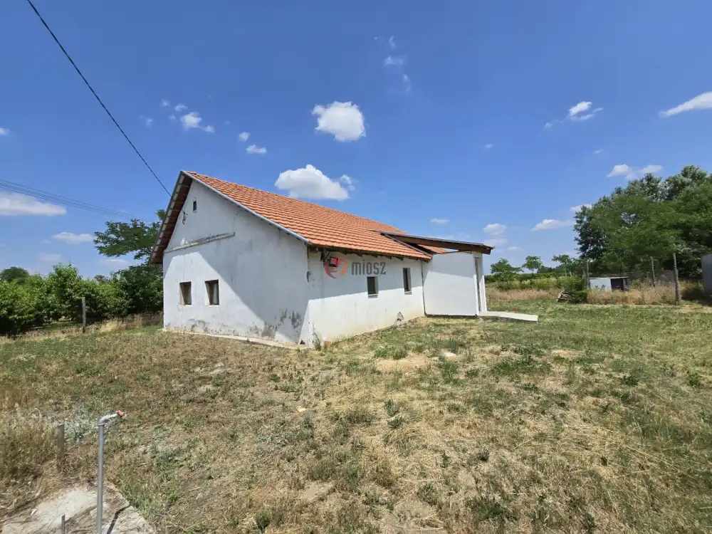 Csongrád megye - Bordány
