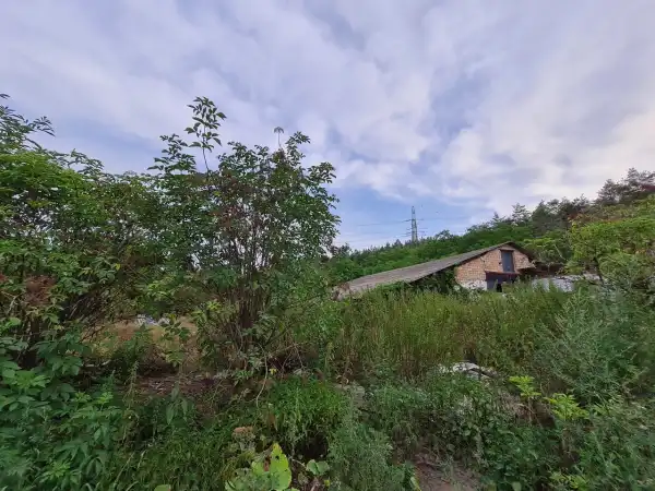 Eladó tanya, Isaszeg 1 szoba 5413 m² 65 M Ft
