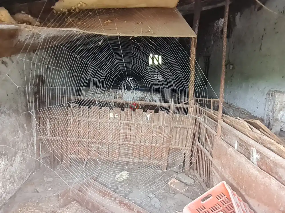 Pest megye - Isaszeg