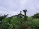 Pest megye - Isaszeg