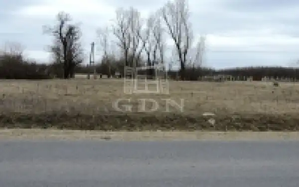 Eladó tanya, Kiskunmajsa 1 szoba 50 m² 6.5 M Ft