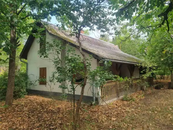 Eladó tanya, Nyárlőrinc 1 szoba 70 m² 39 M Ft