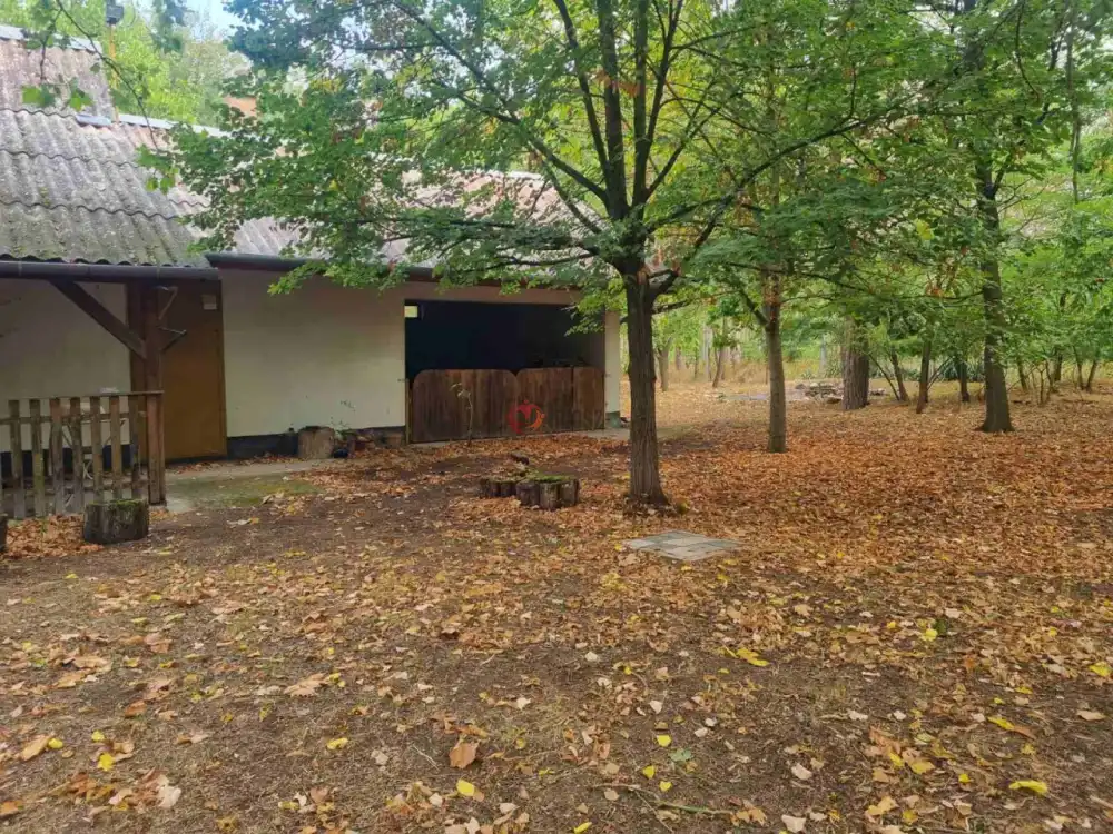 Bács-Kiskun megye - Nyárlőrinc