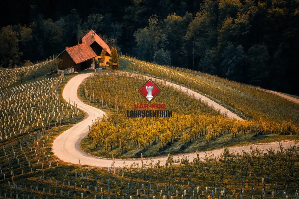 Bács-Kiskun megye - Petőfiszállás