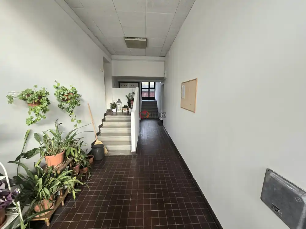 Bács-Kiskun megye - Bácsalmás