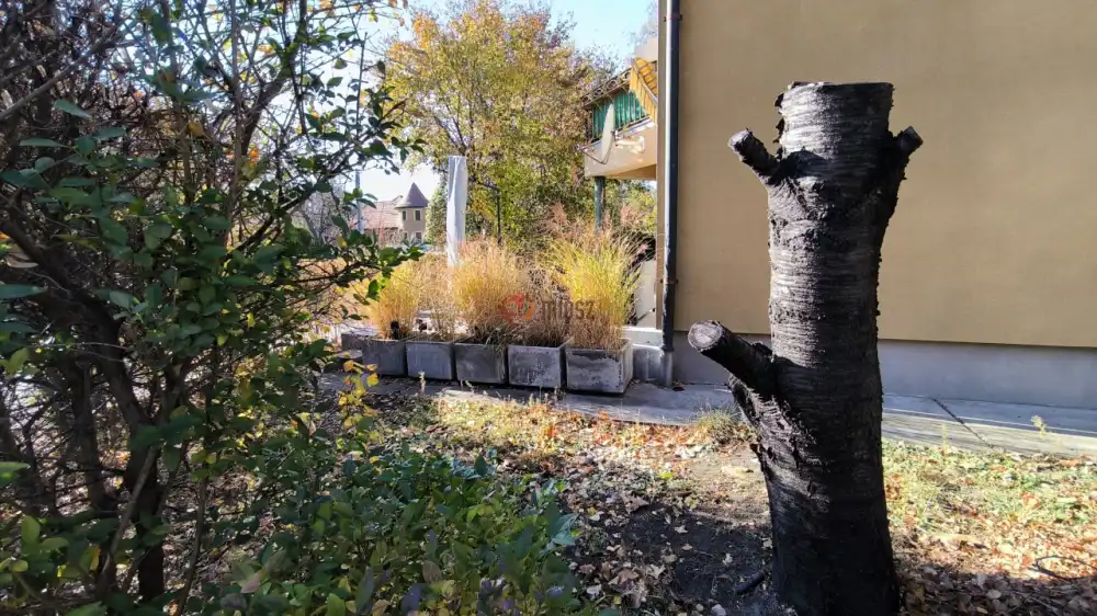 Budapest, III. kerület - Csillaghegy