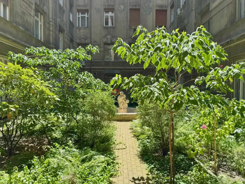 Budapest, IX. kerület - Rehabilitációs terület