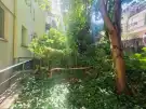 Budapest, XII. kerület - Németvölgy