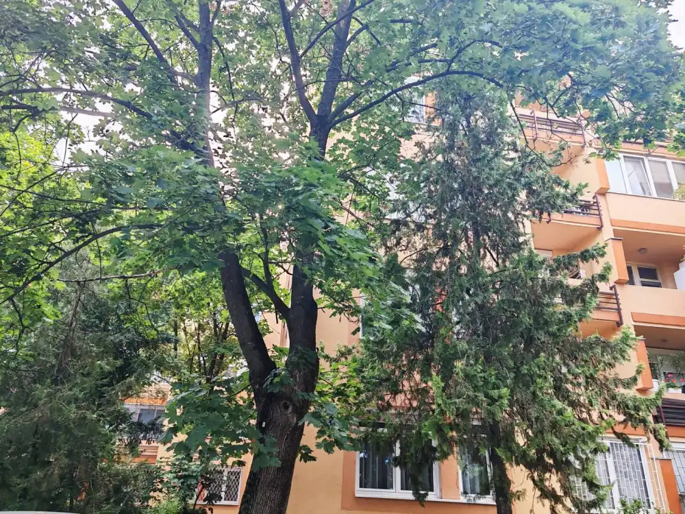 Budapest, XXI. kerület - Szabadság -Erdősor utcai ltp.