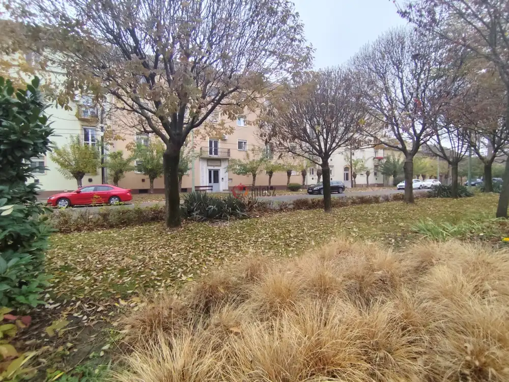 Bács-Kiskun megye - Kiskunfélegyháza