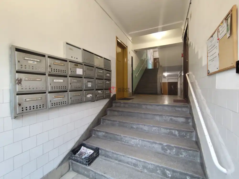 Bács-Kiskun megye - Kiskunfélegyháza