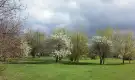 Komárom-Esztergom megye - Komárom
