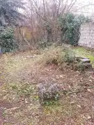 Borsod-Abaúj-Zemplén megye - Miskolc