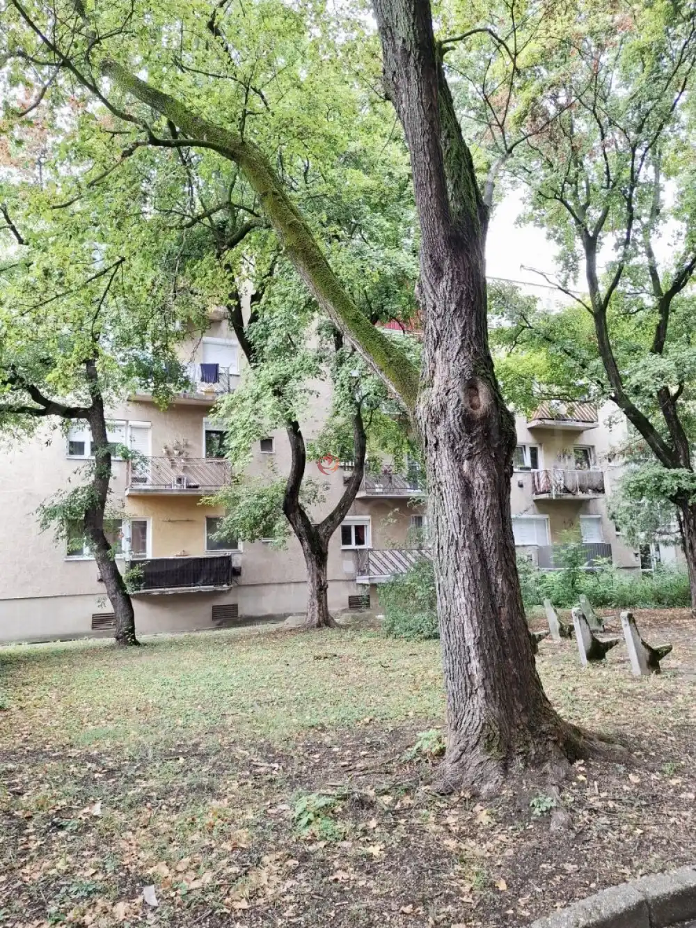 Borsod-Abaúj-Zemplén megye - Miskolc