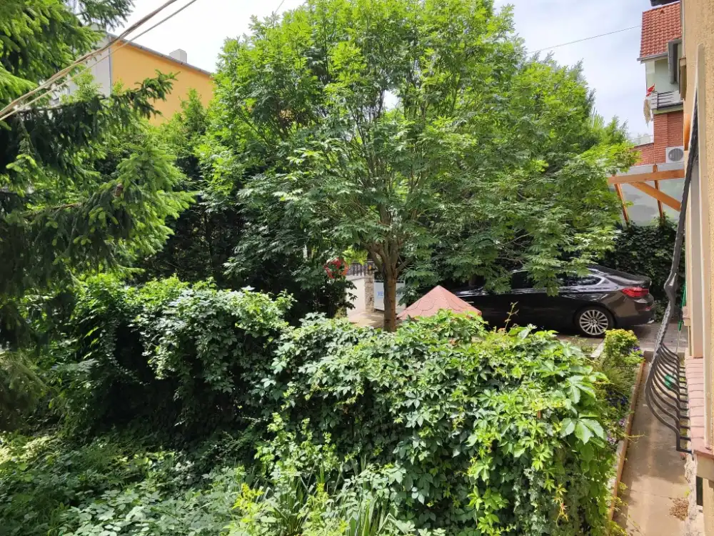 Baranya megye - Pécs